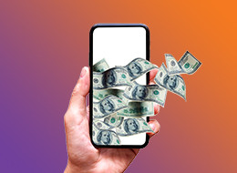 نظام الحوالات المحلية