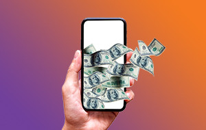 Domestic Transfer System